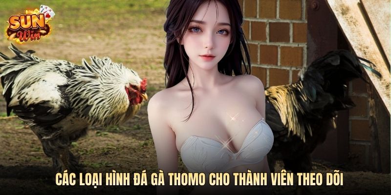 Các loại hình đá gà Thomo cho thành viên theo dõi